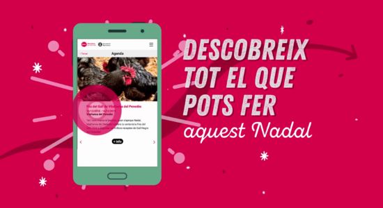 Diputació de Barcelona – Promocional