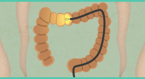 Goodgut – Presentació empresa